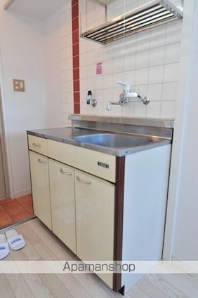 東京都世田谷区奥沢２丁目[1R/13.34m2]のキッチン