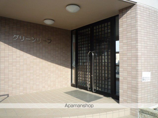 グリーンリーフのその他写真