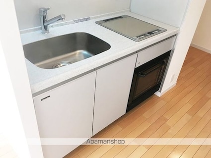フレンシア麻布十番ノース[1R/30.28m2]のキッチン
