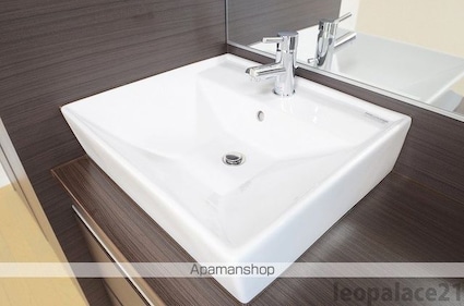 レオネクストステビア[1R/26.5m2]の洗面所