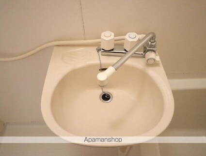 プリムローズ[1R/19.87m2]の洗面所