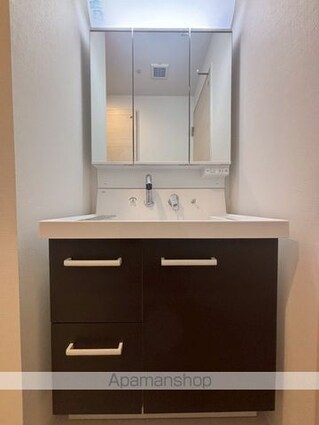 ＨＩＬＬＳ八王子台町[1LDK/48.73m2]の洗面所