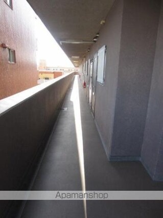 シェレナ辻町[1DK/36.72m2]の共用部5
