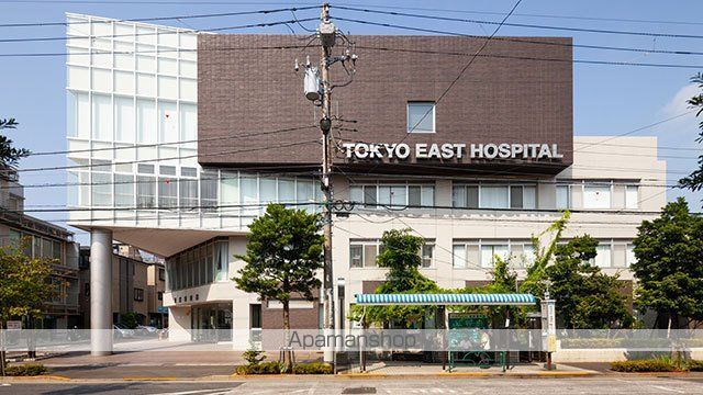 リリックコートハイビスカスの周辺写真