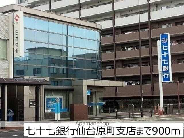 カモミールの周辺写真