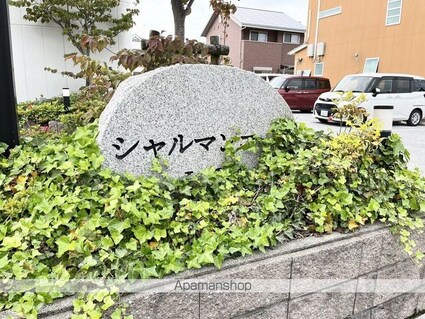 シャルマンコート１番館[2DK/45m2]の共用部3