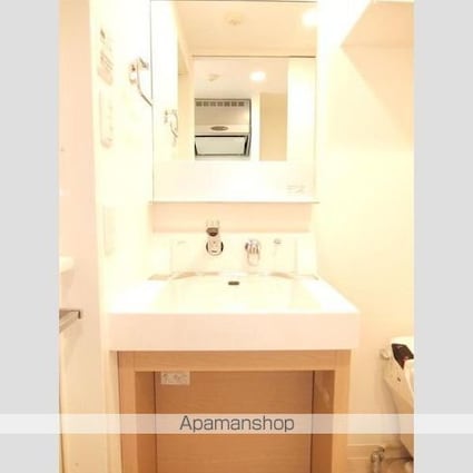 プラウドフラット仙川Ⅱ[1K/25.01m2]の洗面所