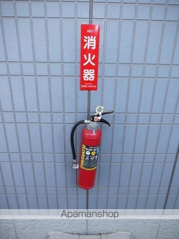 ブルーバトーのその他写真