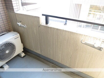 メゾン・ド・メシュー[1K/19.04m2]の内装9