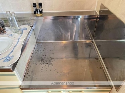 ハイツアベニールＡ・Ｂ棟[2DK/46.37m2]の内装3