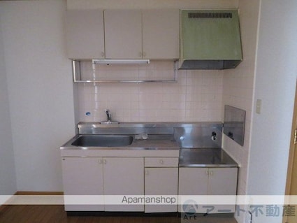 エクセル南江戸[2DK/46.06m2]のキッチン