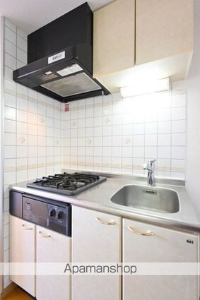 東京都新宿区西落合１丁目[1K/19.84m2]のキッチン1