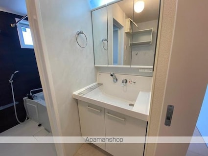 シャインポート屋島Ⅱ[1LDK/51.13m2]の洗面所