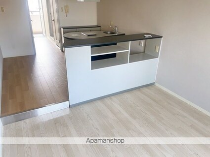 メゾン・ド・アーベリール[1R/30.4m2]の内装2