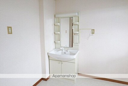 山口ハイツＢ[3DK/47.93m2]の洗面所