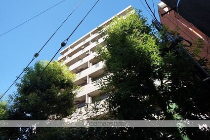 東京都新宿区荒木町[1K/22.2m2]の外観4