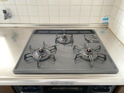 ダイアパレス太田第３[3LDK/70.08m2]の内装3