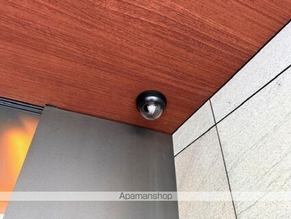 ルネサンス赤坂プレミアムコート[1LDK/62.75m2]の共用部3