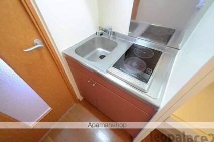 レオパレスフローリッシュⅡ[1K/28.02m2]のキッチン