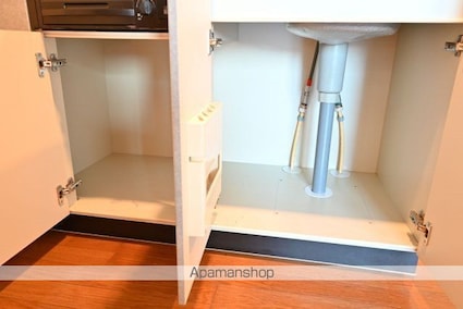 フェニックス目黒[1R/20.41m2]の洗面所