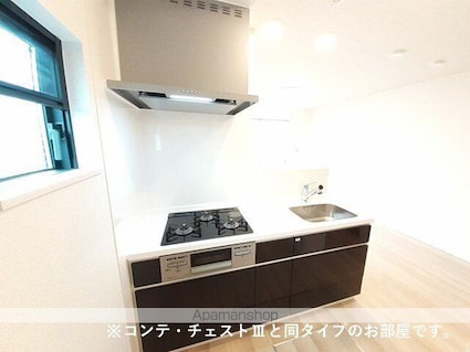 ラクーン守山[1LDK/41.88m2]のキッチン
