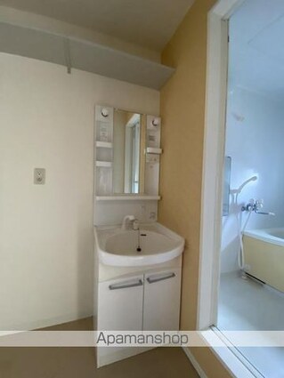 パインテイル　Ａ・Ｂ・Ｃ・Ｄ棟[3LDK/73.96m2]の洗面所