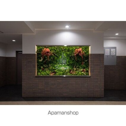 ＣＩＴＹ　ＳＰＩＲＥ浜大津駅前[1K/32.2m2]の内装3