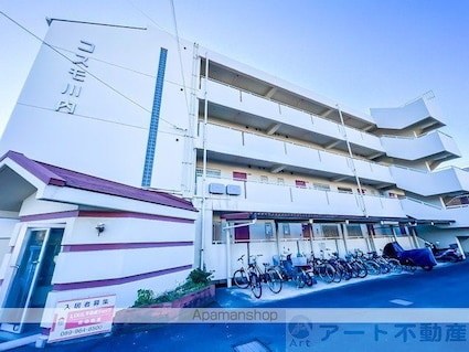 コスモ川内[3LDK/64.8m2]の外観5