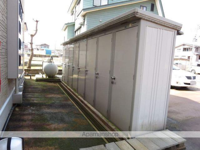 ニューカストディアンのその他写真