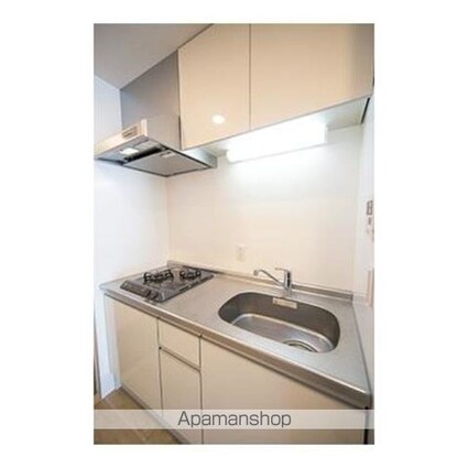 ルミレイス豊洲[1K/25.55m2]のキッチン