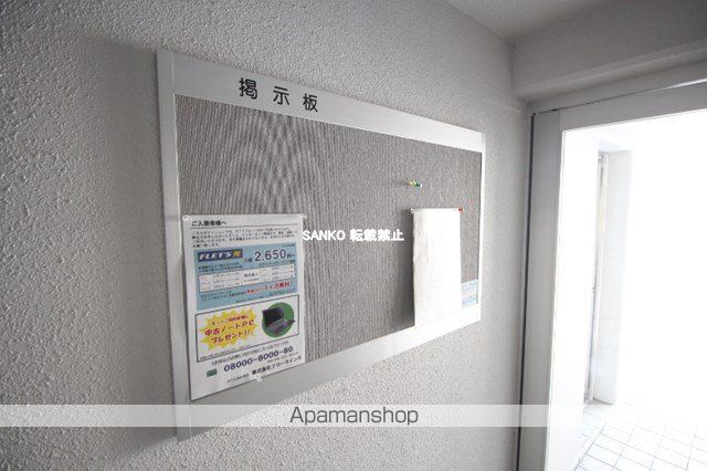 STELLARIGEのその他写真