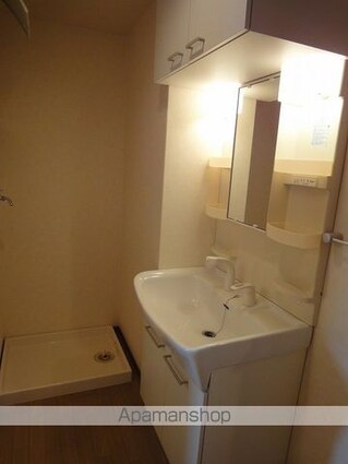 ヒルズビレッジ[2DK/51.99m2]の洗面所