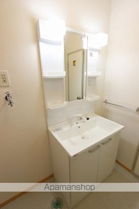 メゾン・ド・アムール[2LDK/53m2]の洗面所