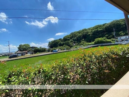 クレイドル武田[1DK/27m2]の内装3