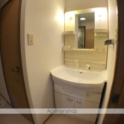 ピースフルハウスＩ（アイ）[2DK/46.53m2]の洗面所