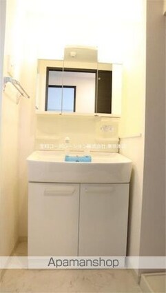 スカイビュー　エヌティ[1LDK/47.04m2]の洗面所