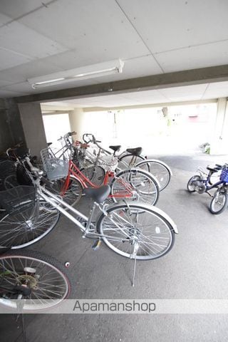 ステラ プレミアムのその他写真