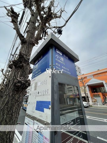 京浜東北・根岸線 山手駅 徒歩24分 3階建 築6年の周辺写真