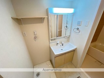 メゾン岩﨑[1LDK/43.21m2]の洗面所1