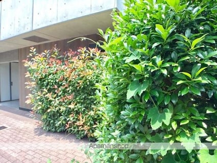 ＣＬＡＰ市谷柳町[1K/24.8m2]の外観6