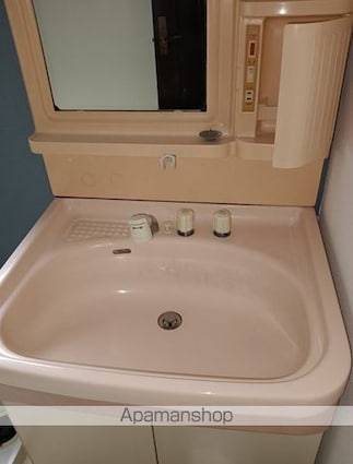 群馬県太田市金山町[1LDK/81.98m2]の洗面所