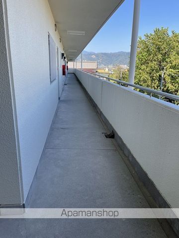 ドルフ高須のその他写真