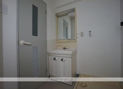 ロイヤルアネックスシエナ[2LDK/47.3m2]の洗面所