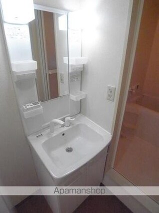 緑山ハイツＡ[3DK/52.39m2]の洗面所