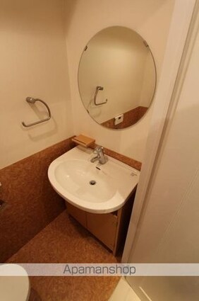 コリドールエスエフ[1R/29.41m2]の洗面所