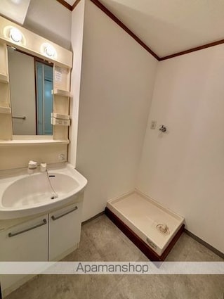 ブリリアントヒル[2LDK/58.87m2]の洗面所