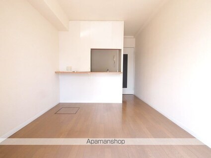 レオパレスルミエール高出[2DK/49.68m2]の内装5