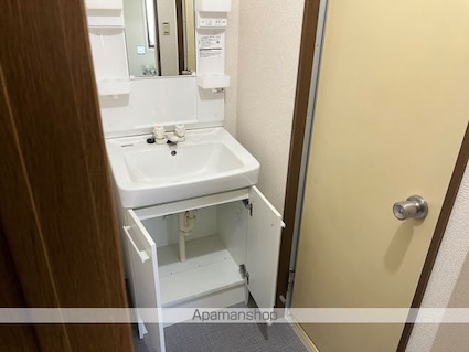 ハーモニーＳ　Ａ棟[3K/66m2]の洗面所