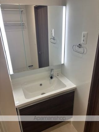 Ｇｒａｃｅ　Ｙａｍａ（グレイス　ヤマ）[1LDK/42.93m2]の洗面所