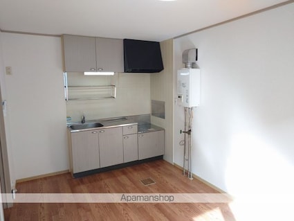 セジュールＭＥ諏訪Ｃ棟[2DK/48.7m2]のキッチン